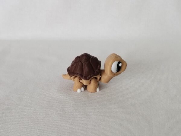 IMG_20250730_150855716 Tortuga Flexible 3D