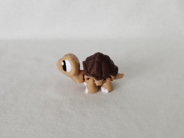 IMG_20250730_150903669 Tortuga Flexible 3D