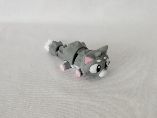 IMG_20250730_152021690 Gato Flexible 3D