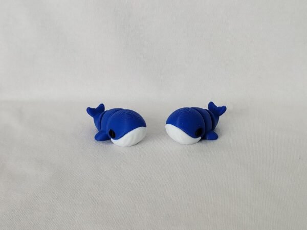 IMG_20250730_154750486 Tiny Ballena Flexible 3D