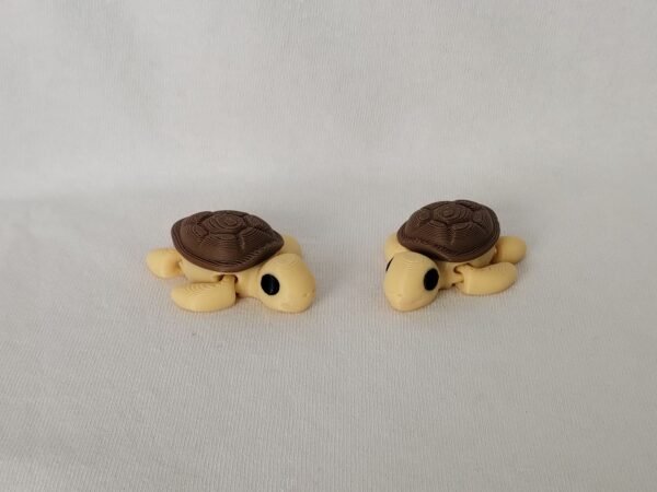 IMG_20250730_155815932 Tiny Tortuga Flexible 3D