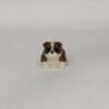 Tiny Buldog Flexible 3D