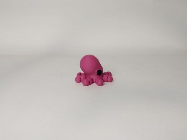 IMG_20260914_191251088_MP Tiny Pulpo Flexible 3D