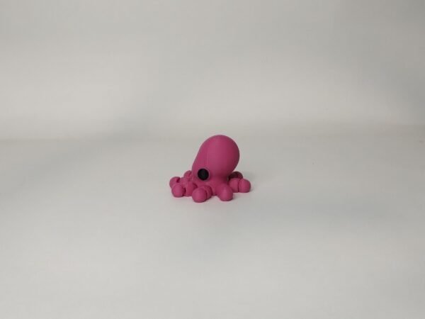 IMG_20260914_191257591_MP Tiny Pulpo Flexible 3D